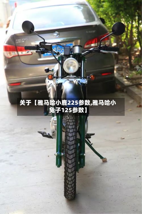 关于【雅马哈小鹿225参数,雅马哈小兔子125参数】-第3张图片