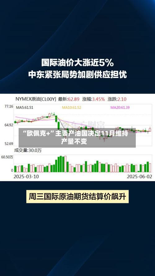 “欧佩克+”主要产油国决定11月维持产量不变-第3张图片