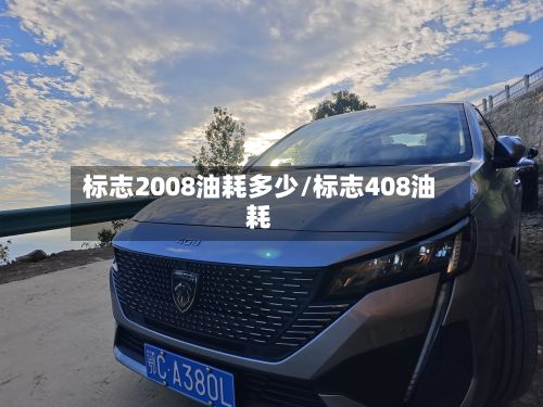 标志2008油耗多少/标志408油耗