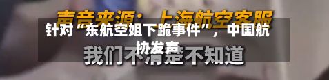 针对“东航空姐下跪事件	”	，中国航协发声-第2张图片