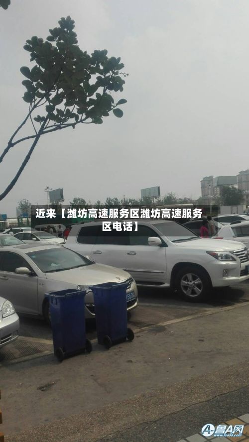 近来【潍坊高速服务区潍坊高速服务区电话】-第2张图片