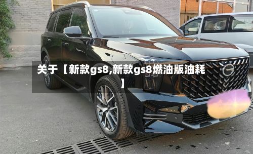 关于【新款gs8,新款gs8燃油版油耗】