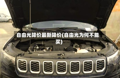 自由光降价最新降价(自由光为何不能买)-第3张图片