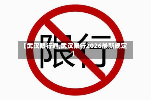 【武汉限行通,武汉限行2026最新规定】-第3张图片