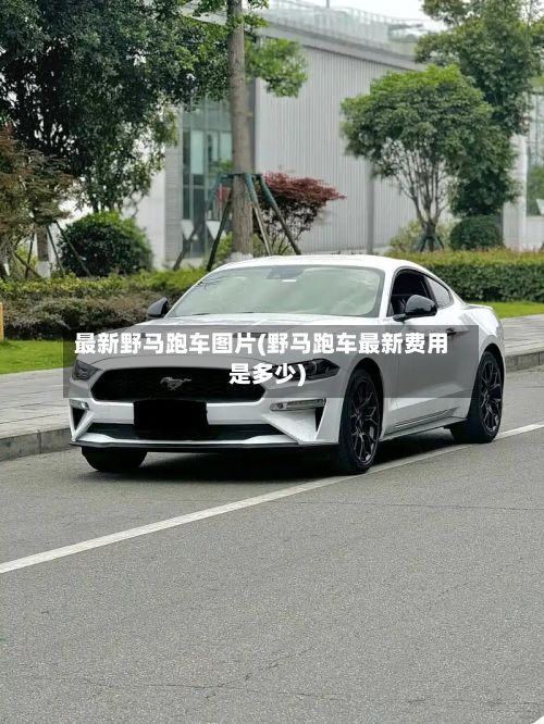 最新野马跑车图片(野马跑车最新费用是多少)