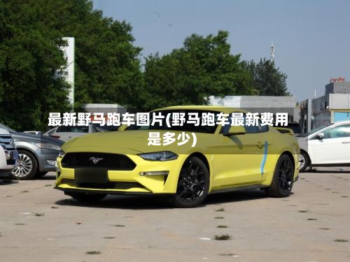 最新野马跑车图片(野马跑车最新费用是多少)-第2张图片