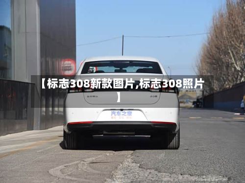 【标志308新款图片,标志308照片】
