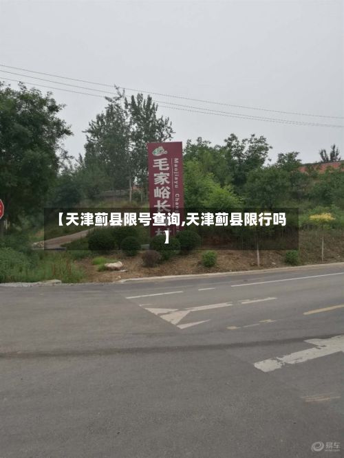 【天津蓟县限号查询,天津蓟县限行吗】-第3张图片
