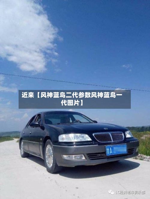 近来【风神蓝鸟二代参数风神蓝鸟一代图片】-第3张图片