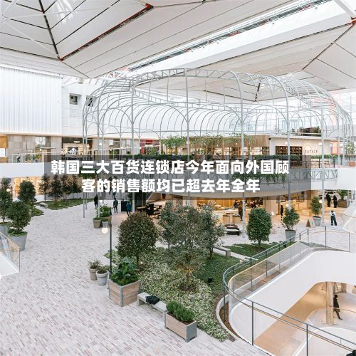 韩国三大百货连锁店今年面向外国顾客的销售额均已超去年全年-第2张图片