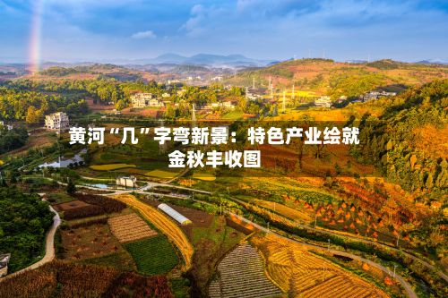 黄河“几”字弯新景：特色产业绘就金秋丰收图-第3张图片