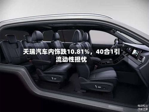 天瑞汽车内饰跌10.81%，40合1引流动性担忧-第2张图片