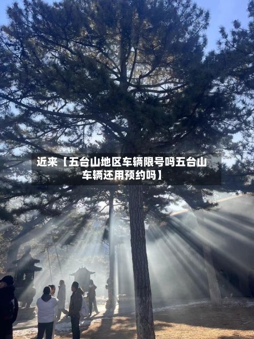 近来【五台山地区车辆限号吗五台山车辆还用预约吗】-第3张图片