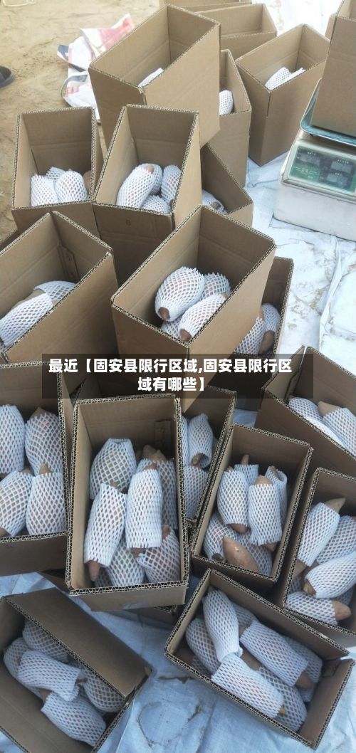 最近【固安县限行区域,固安县限行区域有哪些】-第3张图片