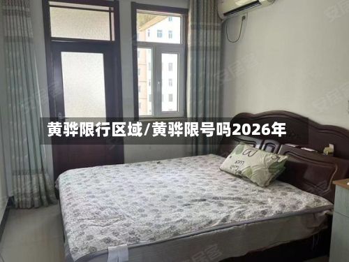 黄骅限行区域/黄骅限号吗2026年-第2张图片