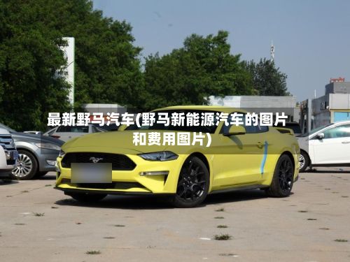 最新野马汽车(野马新能源汽车的图片和费用图片)