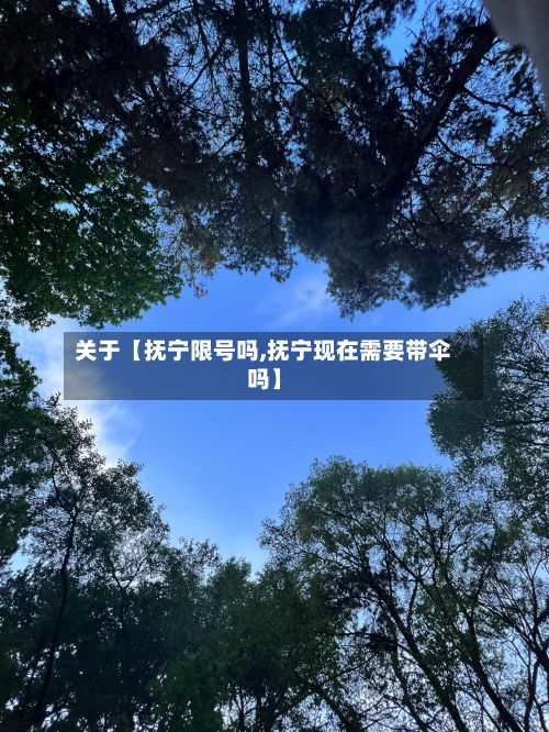 关于【抚宁限号吗,抚宁现在需要带伞吗】