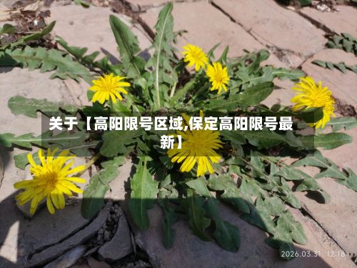 关于【高阳限号区域,保定高阳限号最新】-第1张图片