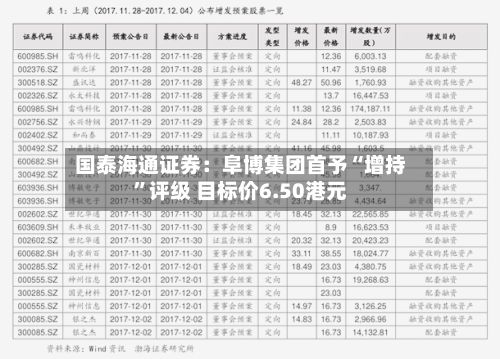 国泰海通证券：阜博集团首予“增持”评级 目标价6.50港元-第2张图片