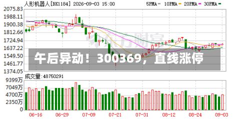 午后异动！300369，直线涨停