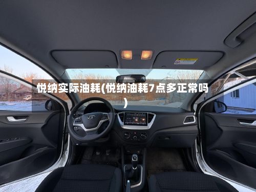 悦纳实际油耗(悦纳油耗7点多正常吗)