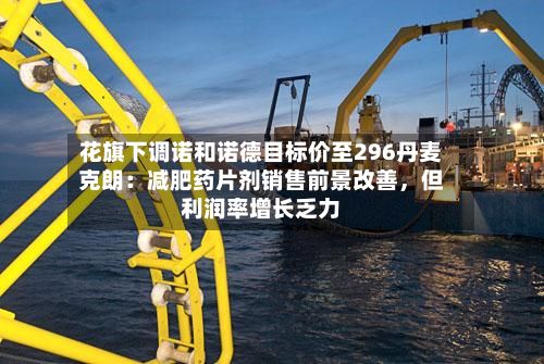 花旗下调诺和诺德目标价至296丹麦克朗：减肥药片剂销售前景改善，但利润率增长乏力-第2张图片