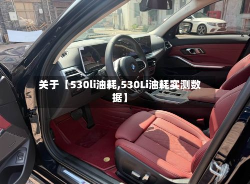 关于【530li油耗,530Li油耗实测数据】-第2张图片