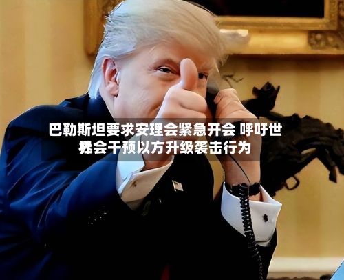 巴勒斯坦要求安理会紧急开会 呼吁世界社会干预以方升级袭击行为