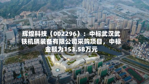 辉煌科技（002296）：中标武汉武铁机辆装备有限公司采购项目，中标金额为153.58万元-第2张图片