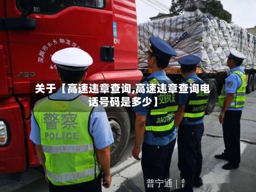 关于【高速违章查询,高速违章查询电话号码是多少】-第3张图片