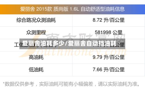 爱丽舍油耗多少/爱丽舍自动挡油耗