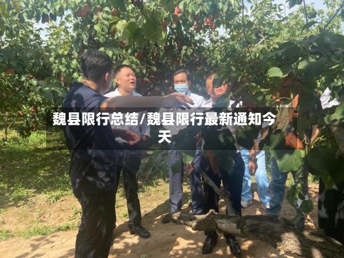 魏县限行总结/魏县限行最新通知今天