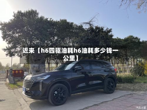 近来【h6四驱油耗h6油耗多少钱一公里】-第2张图片