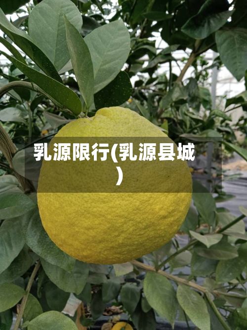 乳源限行(乳源县城)-第3张图片