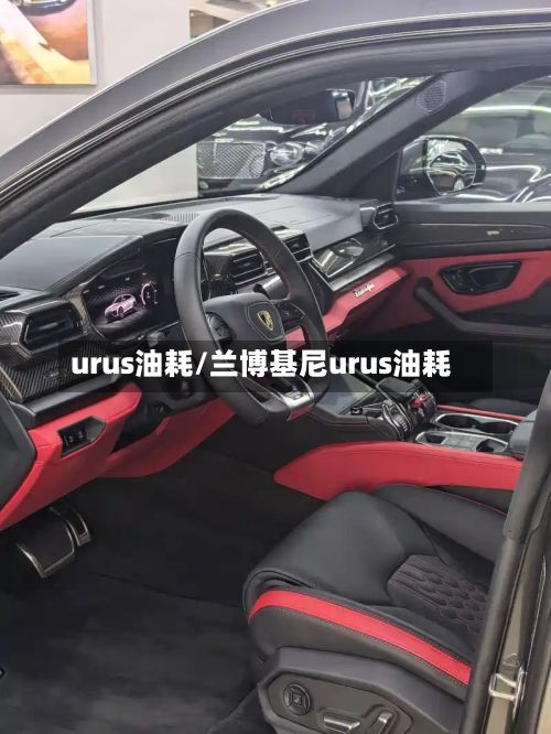 urus油耗/兰博基尼urus油耗