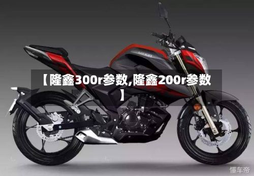 【隆鑫300r参数,隆鑫200r参数】-第2张图片