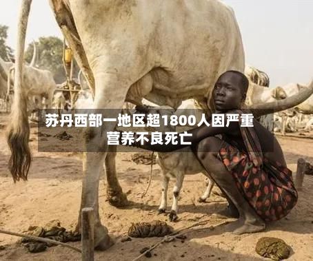 苏丹西部一地区超1800人因严重营养不良死亡
