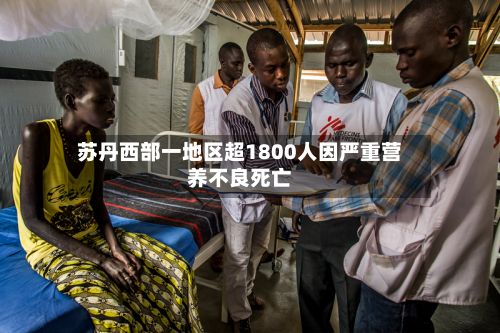 苏丹西部一地区超1800人因严重营养不良死亡-第2张图片