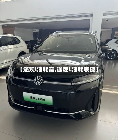 【途观l油耗高,途观L油耗表现】