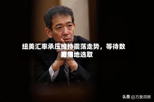 纽美汇率承压维持震荡走势	，等待数据落地选取方向-第2张图片