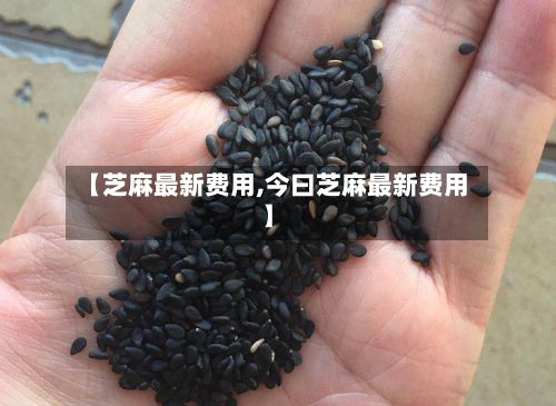 【芝麻最新费用,今曰芝麻最新费用】-第3张图片