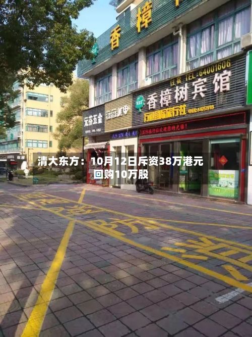 清大东方:10月12日斥资38万港元回购10万股-第2张图片