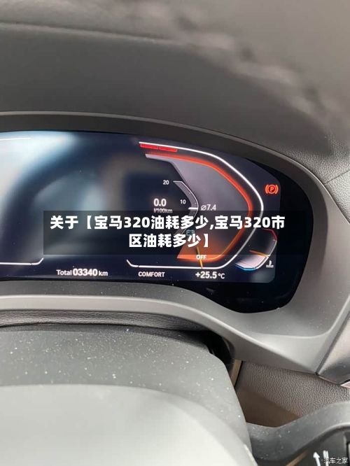 关于【宝马320油耗多少,宝马320市区油耗多少】-第3张图片