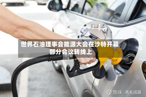 世界石油理事会能源大会在沙特开幕 部分会议转线上
