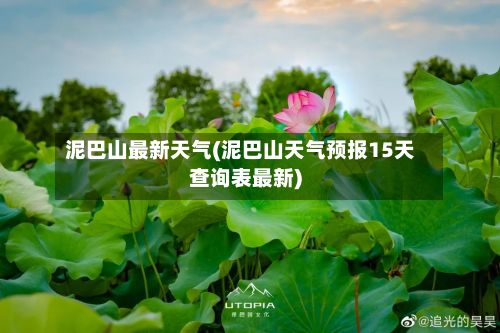 泥巴山最新天气(泥巴山天气预报15天查询表最新)-第3张图片