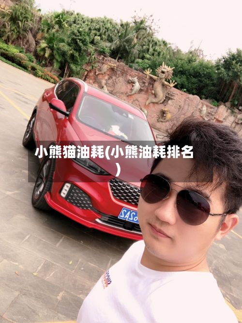 小熊猫油耗(小熊油耗排名)-第1张图片