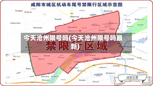 今天沧州限号吗(今天沧州限号吗最新)-第2张图片