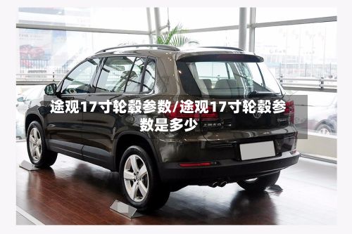 途观17寸轮毂参数/途观17寸轮毂参数是多少