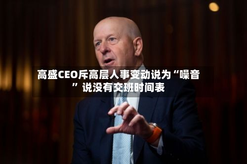 高盛CEO斥高层人事变动说为“噪音” 说没有交班时间表-第3张图片