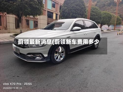 蔚领最新消息(蔚领新车费用多少)-第2张图片